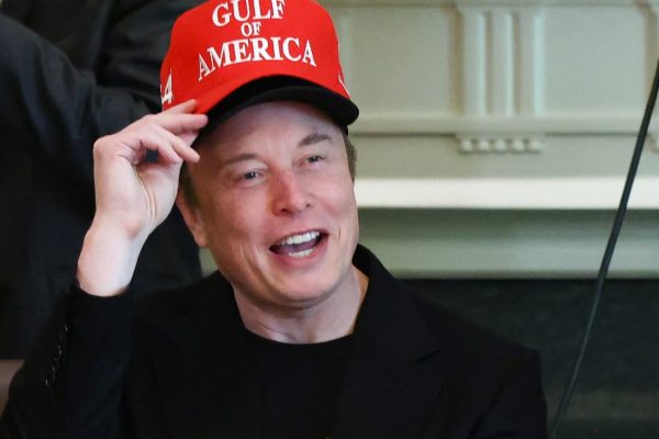 Elon Musk Thanks Trump for Opportunity to Cut Wasteful Spending as Government Role Winds Down