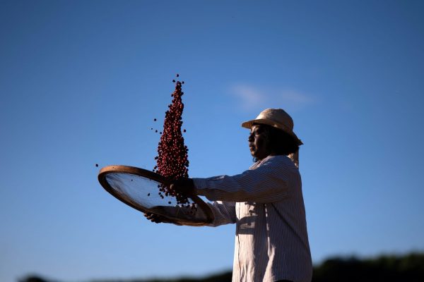 Trump Tariffs Fuel Coffee Price Surge